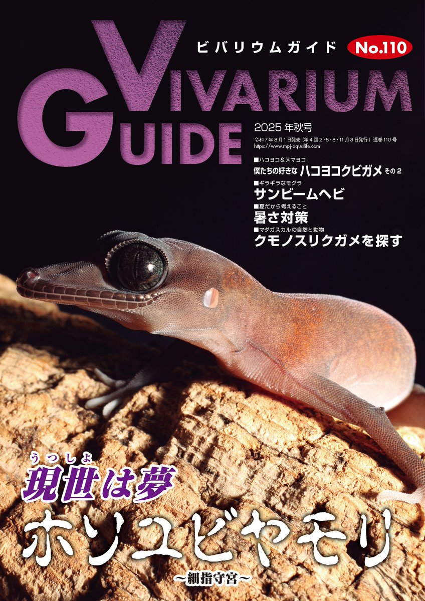 ビバリウムガイド No.81, 84〜90 まとめ売り ビバリウムガイド No.81, 84〜90 まとめ売り ビバリウムガイド
