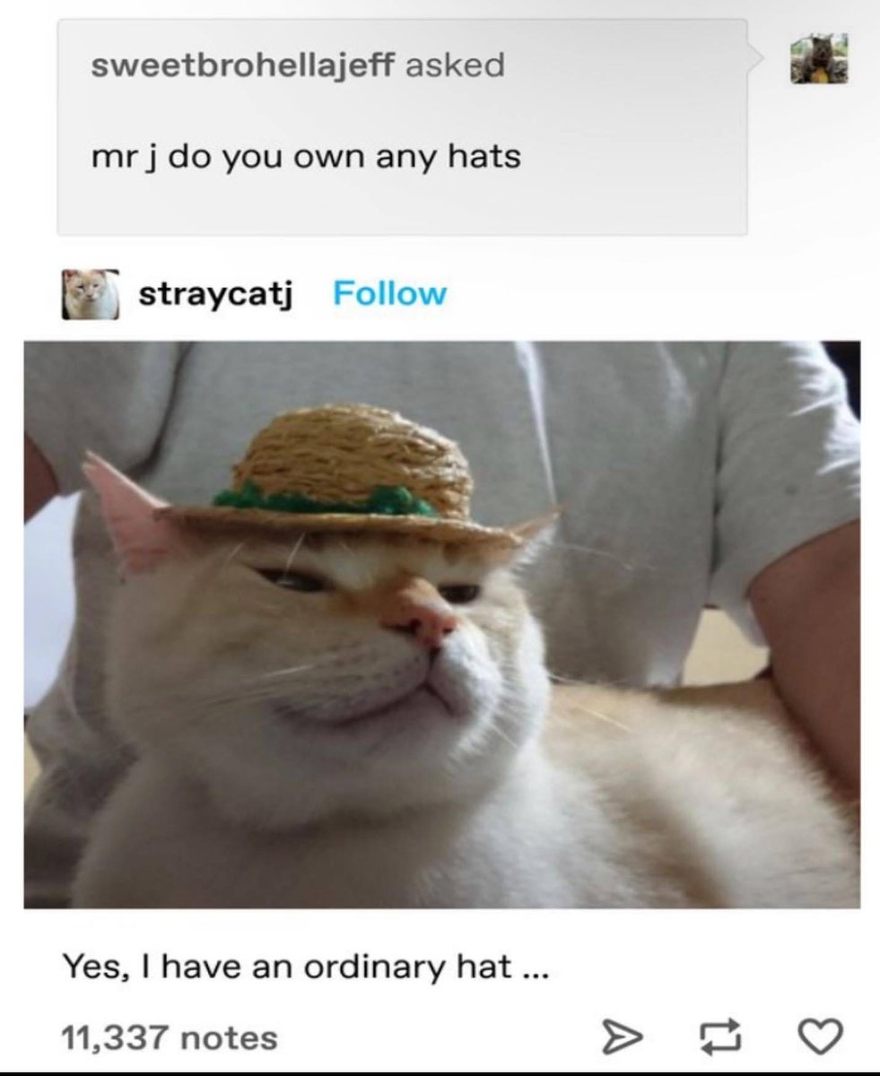 no context memes (@weirddalle) on Twitter photo 