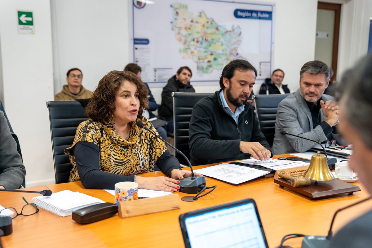 Consejera Jardúa lamenta rechazo a Escuela de Carabineros en Quirihue: “Una oportunidad perdida para fortalecer la seguridad en Ñuble” radiocontigo.cl/consejera-jard…
