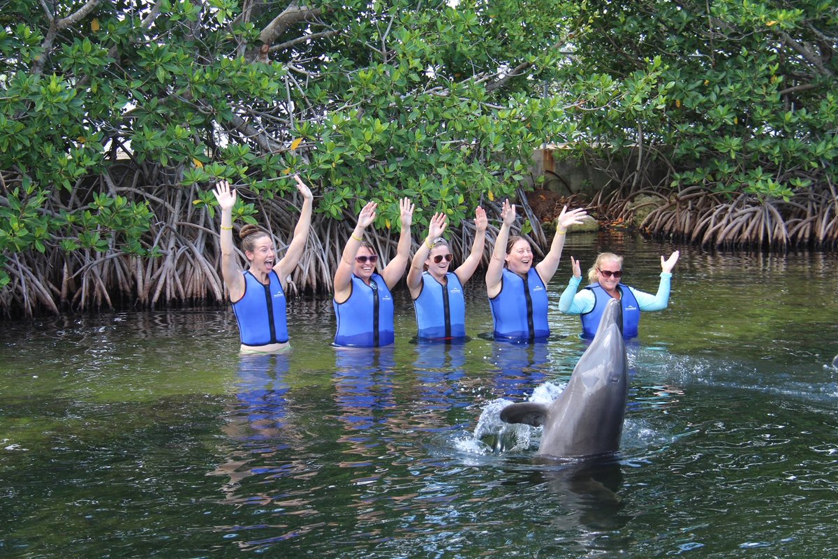 Learn About Montessori Philosophy: Enroll Now - *|mailchi.mp/montessorilive…|*