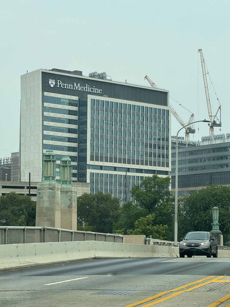 Dvir-Ginzberg Lab tweet media