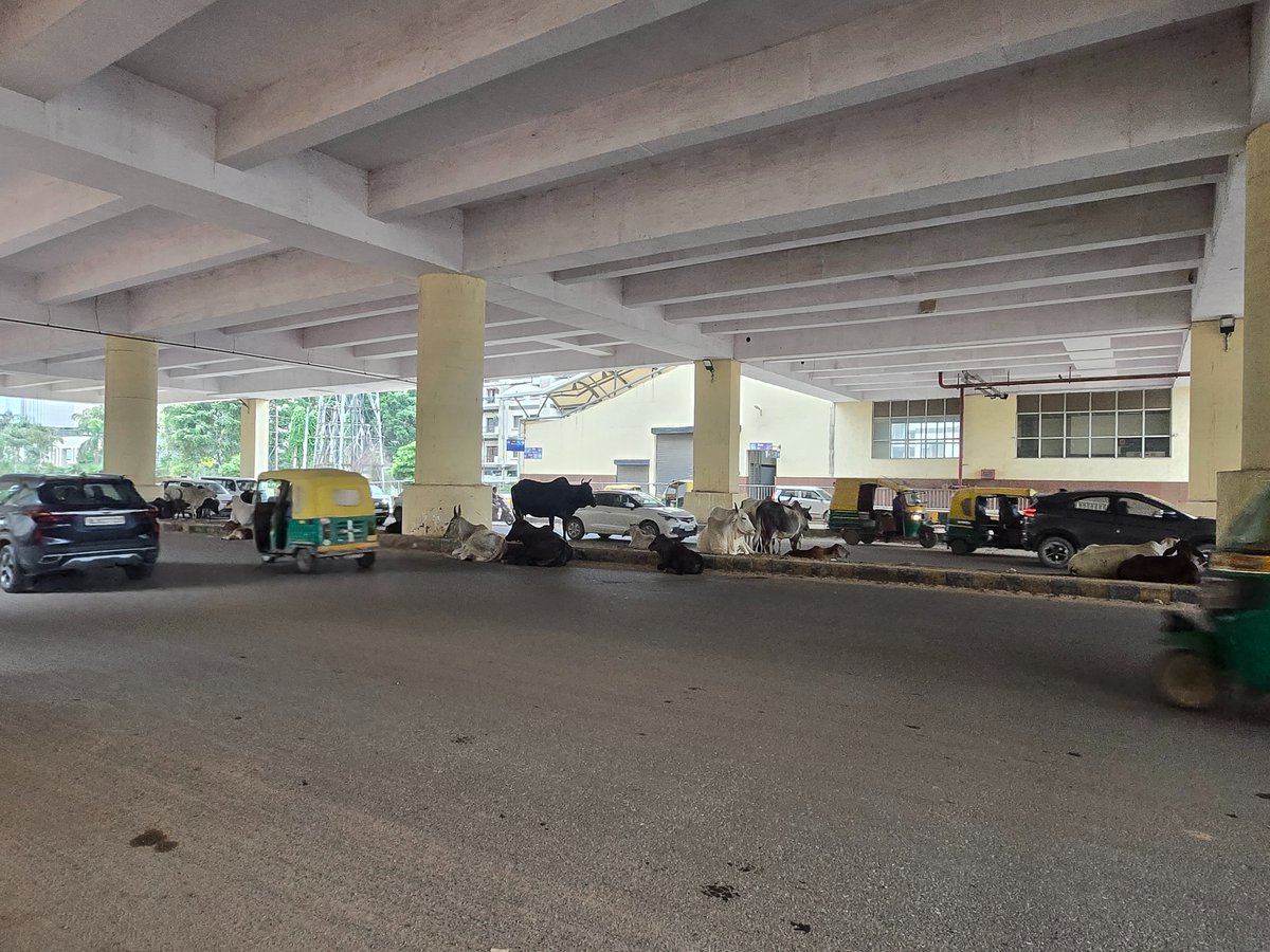 utk_josh's tweet photo. @MunCorpGurugram Sec 55-56 metro station. 6th August, 730am. https://t.co/oBdw4cKdkv