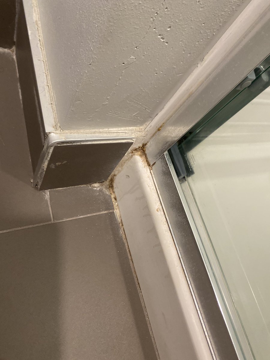 Angela Kuehn 🌸 tweet media