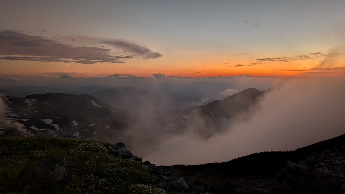 りうママ tweet media