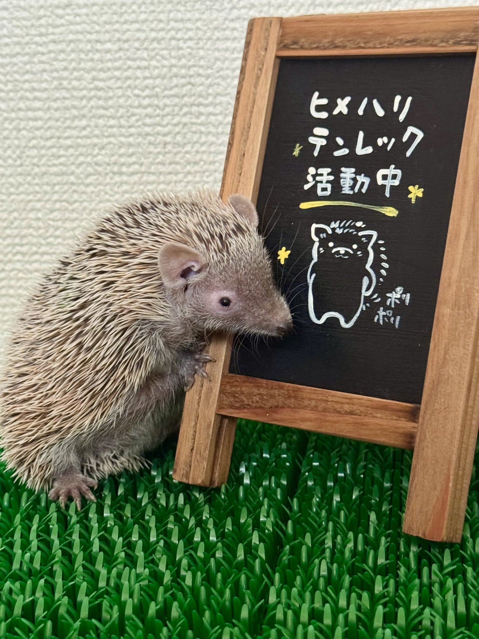 小動物ハウス　　yossy'z様 JohnnyHouse 【小動物グッズお名前看板】近畿レブ