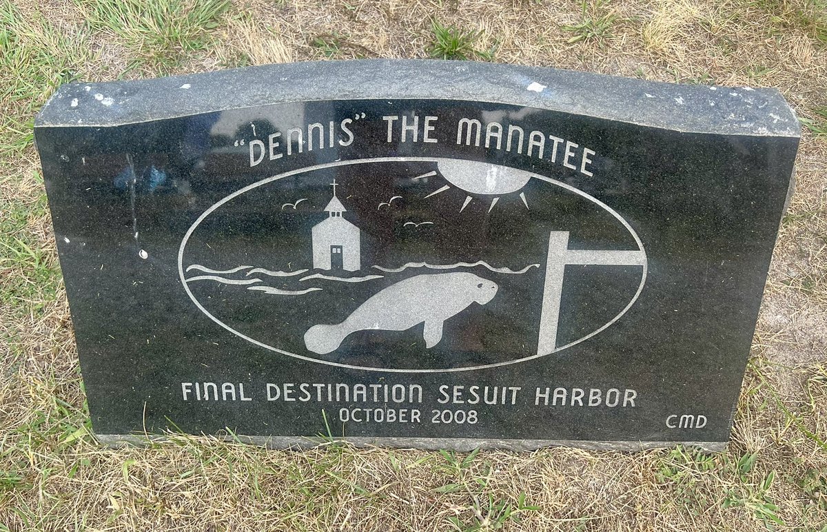 The recent manatee sighting off Cape Cod isn’t the first and won’t be the last.

Read more about the previous sightings here: 

instagram.com/p/DM_ubo4MkSl/…