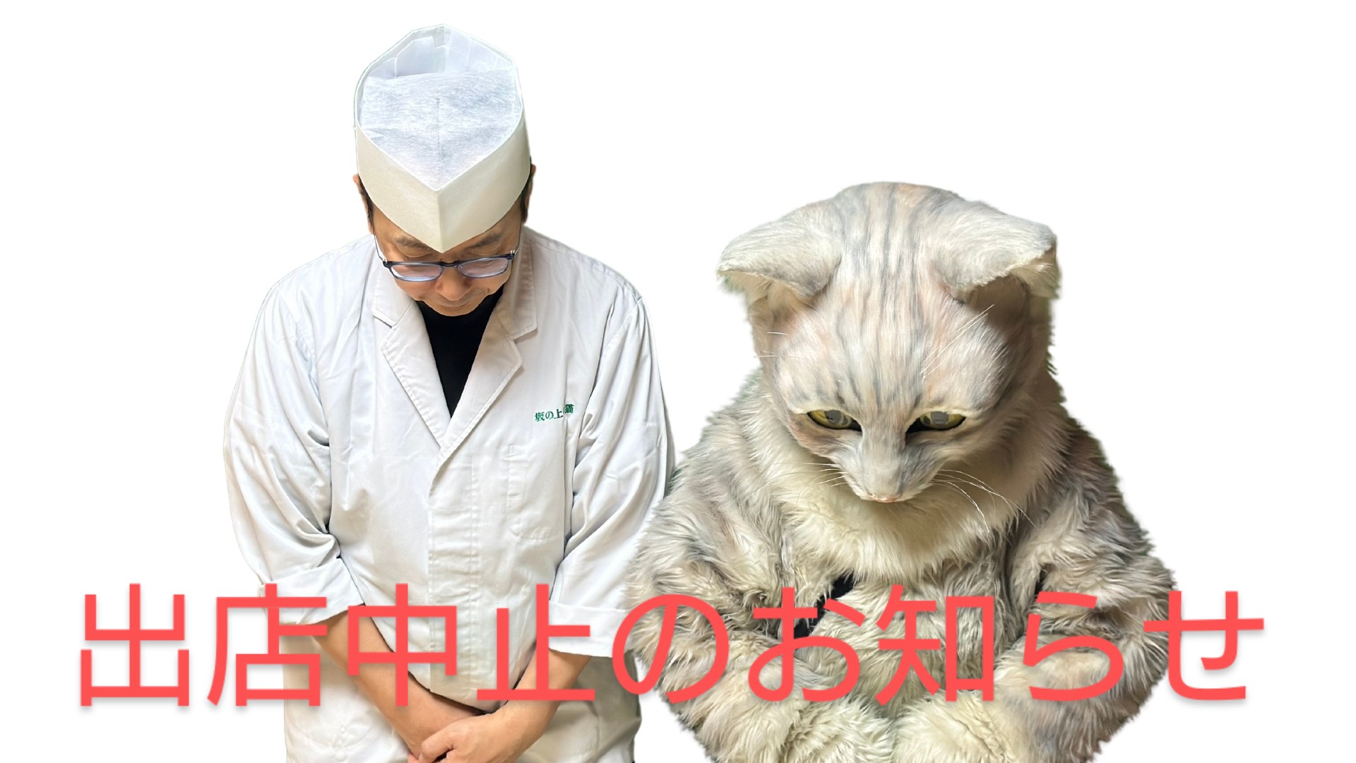 りょうちゃん様予約 絵画「猫の背中にアポロ11号／猫の頭に回転木馬」 坂本千明 ポストカード（猫） | URESICA