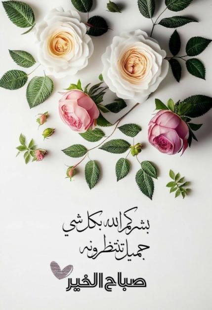 M (@ati333666) on Twitter photo 