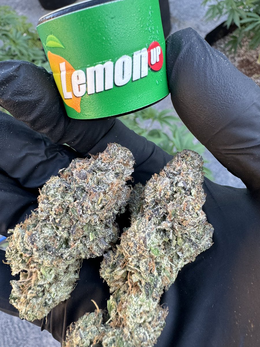 Sturt doinks tweet media