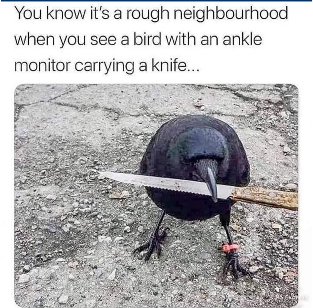 This is the new Brooklyn