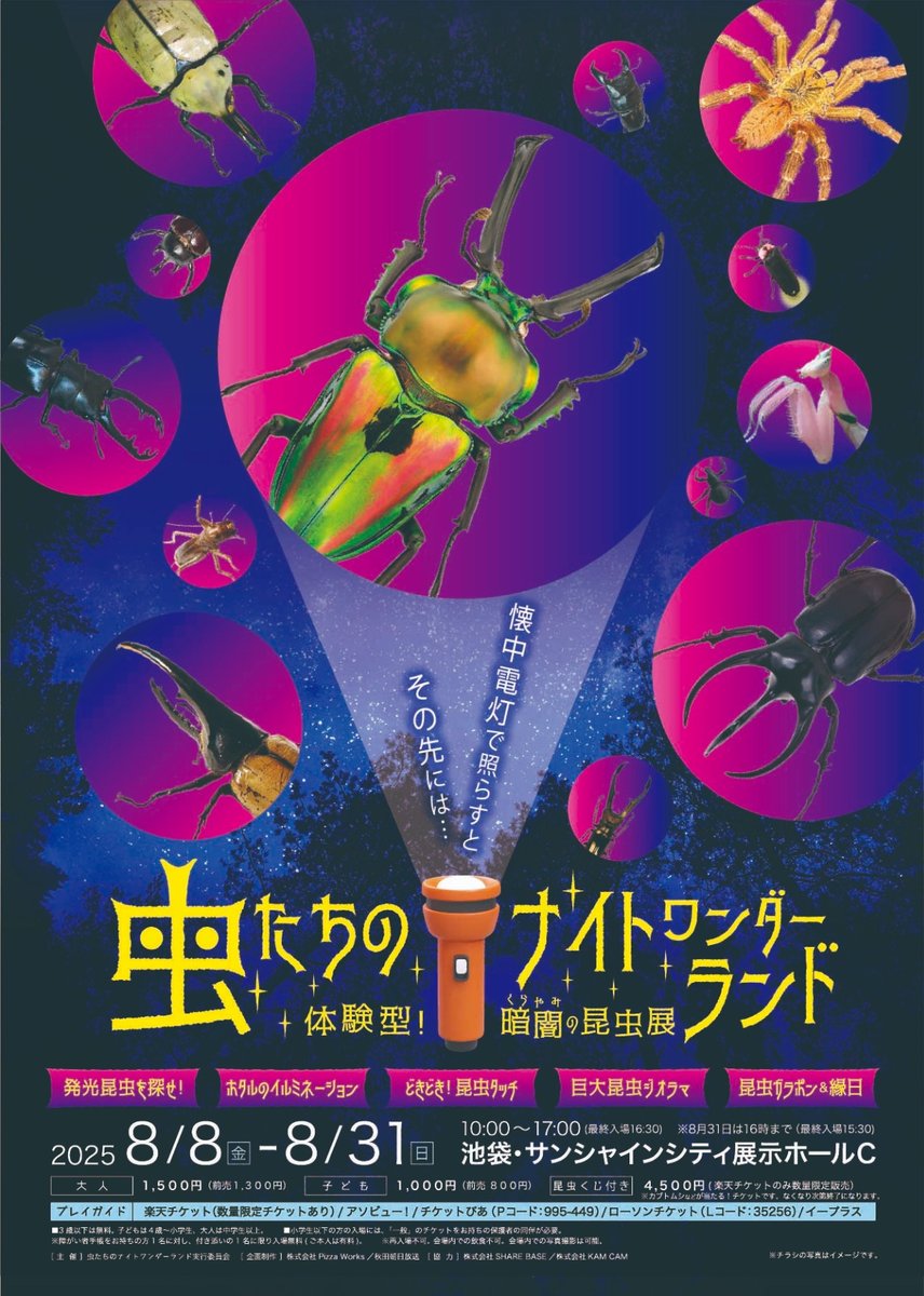 虫たちのナイトワンダーランド 体験型！暗闇の昆虫展 ＼ 📅8/8(金)～8