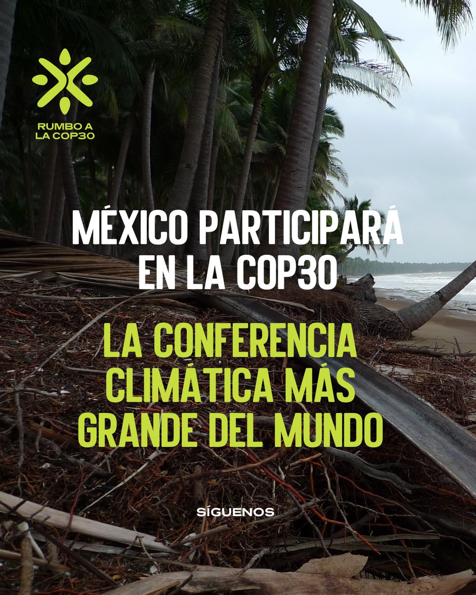 rumboalacop's tweet image. 🇲🇽🌎 México volverá a participar en la #COP30, la conferencia global más importante sobre cambio climático, que se celebrará en Belém, Brasil, en noviembre de 2025. ¡Vamos con compromiso climático y soluciones reales!  #MéxicoEnLaCOP30 #RumboALaCOP30 @Cop30noBrasil @SE_mx
