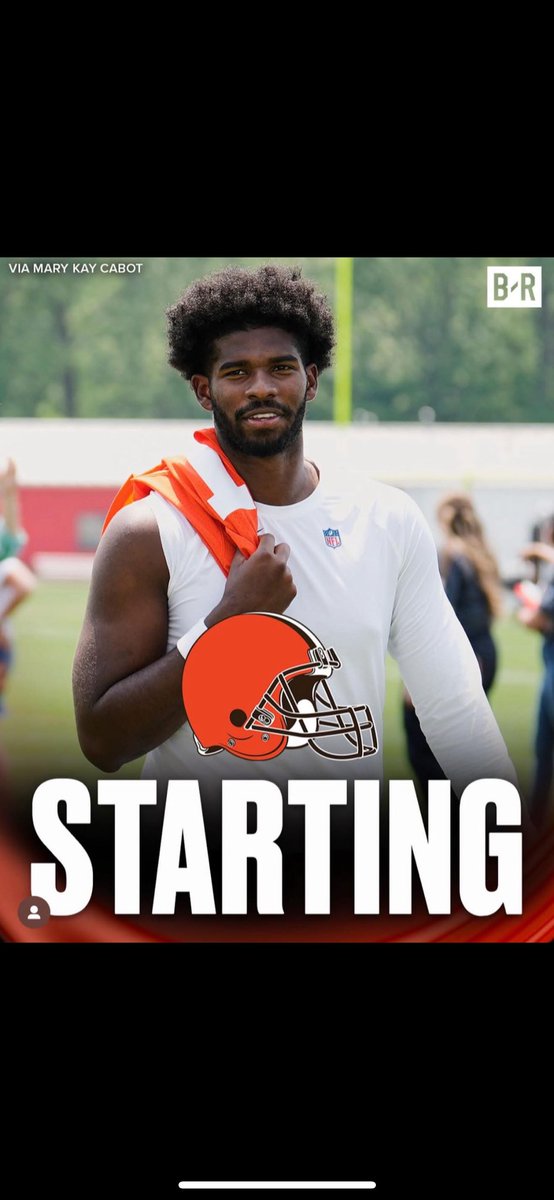 Tally Adams tweet media