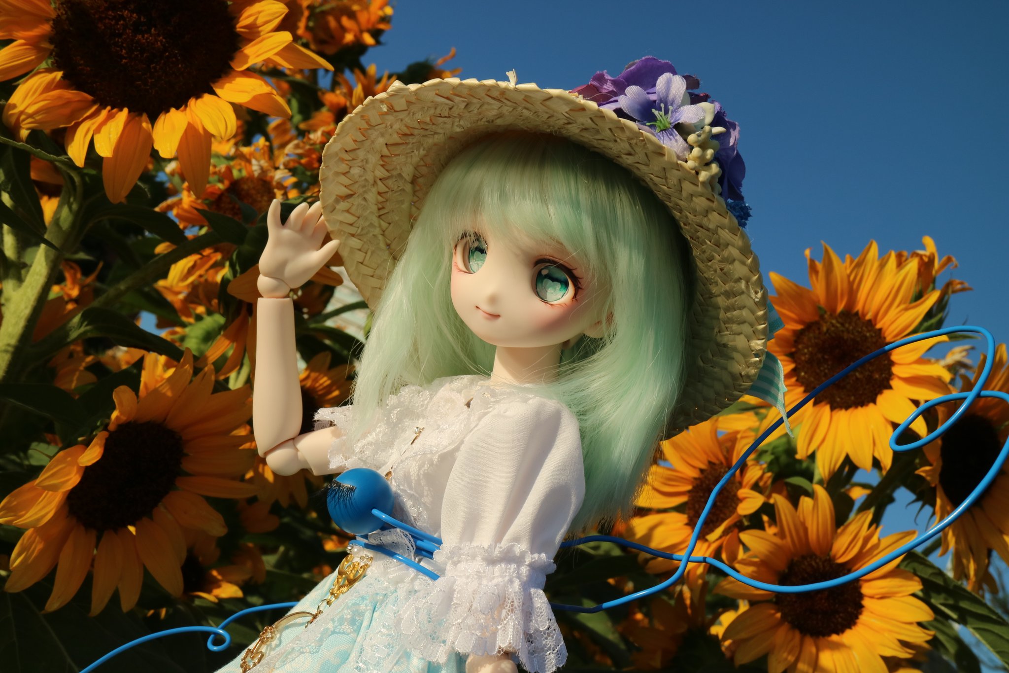 ★スーちゃんと夏の風景★ひまわり 71FexcClpQL._UF350,350_QL50_.jpg