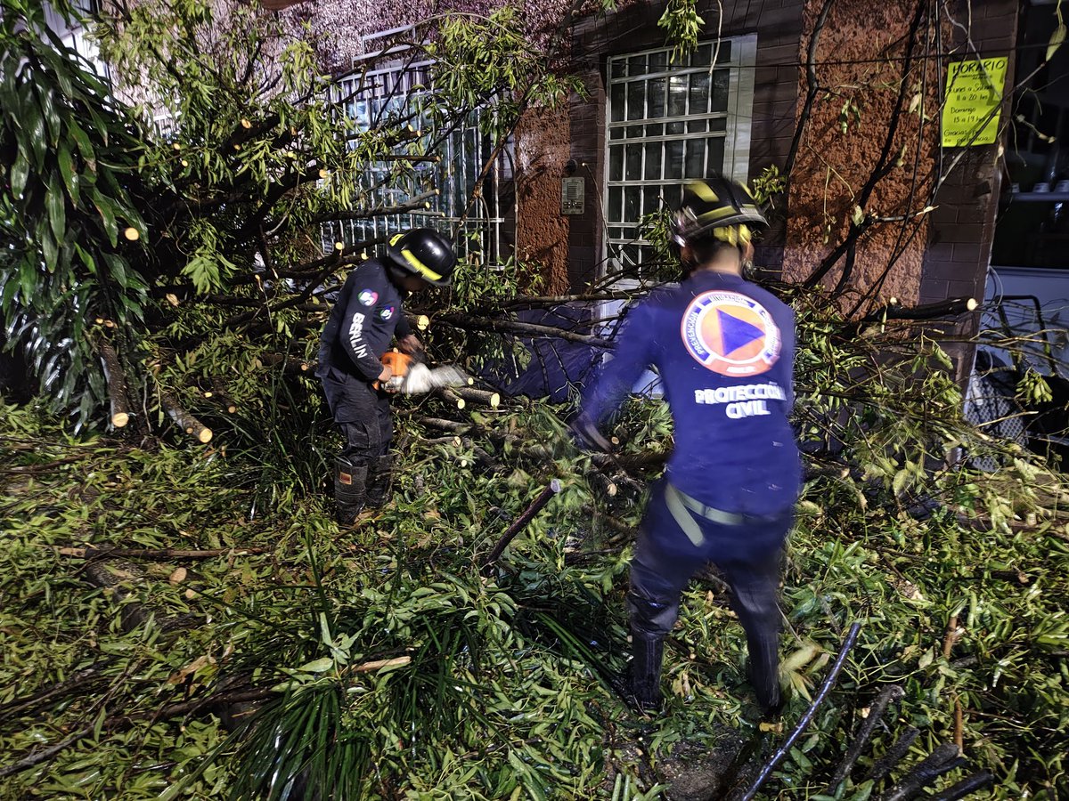 Tomen precauciones.
Equipos de emergencia trabajan en el retiro de un árbol caído en Av Coyoacán y Olloqui.
Estamos pendientes y atendiendo los incidentes ocasionados por las fuertes lluvias.