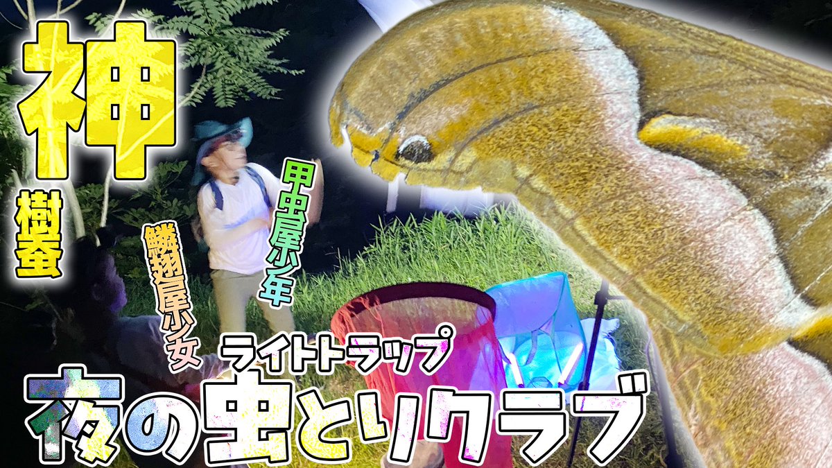 今峰　HID ライト　クワガタ採集　ライトトラップ 今峰HIDライト‼️ | 【FwooD】ひろき＠三重 クワカブ関連のブログ