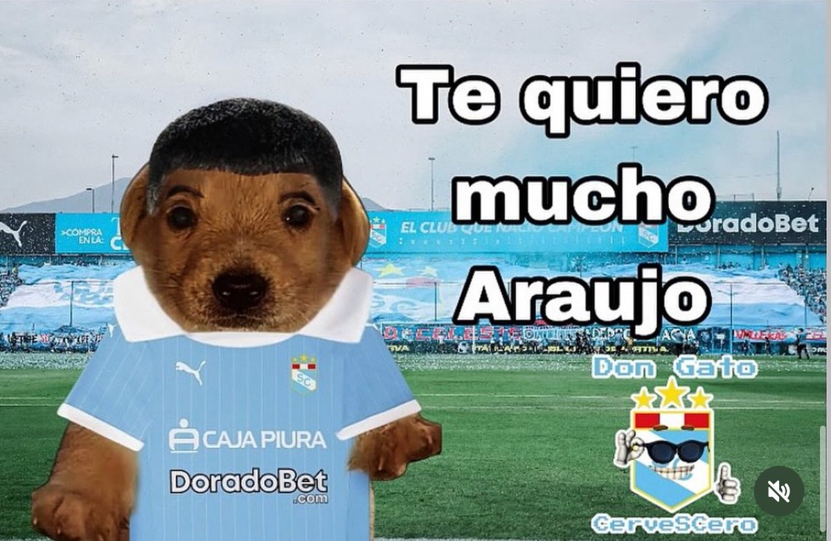 maferlaboriano_'s tweet image. gracias por ayudar a que no me de un infart0 cada 5 min araujo😍