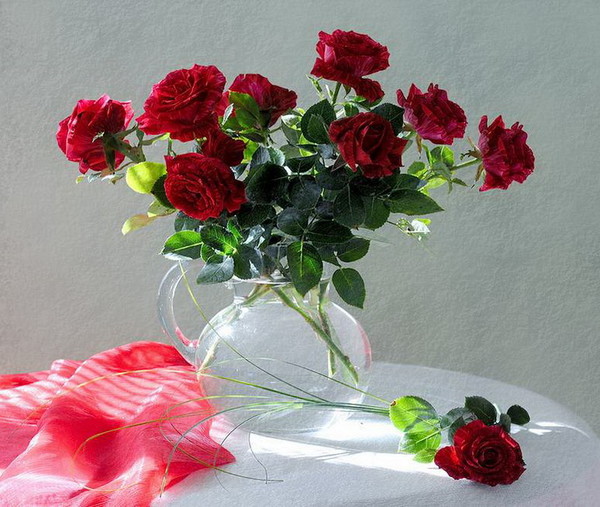 <a href="/Dana__Levina/">💞 Дана Левина 💞</a> <a href="/_NikaSmirnova/">Ника Смирнова 🦋</a> <a href="/_PolinaSavina/">Полина Савина 🧢</a> <a href="/_TatyanaGolub/">Татьяна Голубева 🔥«</a> <a href="/Evelina__Lapina/">Эвелина Лапина</a> <a href="/Mishel_Lebedeva/">Мишель Лебедева</a> <a href="/BogSuvorova/">Богдана Суворова</a> <a href="/Karina__Zimina/">Карина Зимина 🦋</a> <a href="/Mari__Samsonova/">Мария Самсонова 💕</a> <a href="/Dominik_Svetova/">Доминика Светова</a> <a href="/Yuliya_Verina/">Юлия Верина 🍁</a> <a href="/_Anna_Gordeeva/">Анна Гордеева</a> <a href="/Frolova__Nastya/">Анастасия Фролова ✨</a> <a href="/Val_Valereva/">Валентина Валерьева</a> <a href="/Evgen_Safina/">Евгения Сафина</a> <a href="/Alina__Azarova/">Алина Азарова 🔥</a> <a href="/Liza_Vesnina/">Лизавета Веснина</a> <a href="/Sveta_Makeina/">Светлана Макеина</a> <a href="/Kseniya_Aksen/">Ксения Аксенова</a> <a href="/Roza_Rakitina/">Роза Ракитина</a> <a href="/IrishaKoroleva/">Ирина Королева</a> <a href="/_VladaBelova/">Влада Белова</a> <a href="/ya__chara/">Яна</a> <a href="/alberiniks/">Нина Альбертова</a> <a href="/lady__travel/">Нинэлька</a> <a href="/Ansupers/">Анастасия</a> <a href="/Alisa550055/">Алиса</a> <a href="/glamour__fifa/">Нэнси</a> <a href="/santairis_/">Ириска</a> <a href="/polovinkamoya/">Валентина</a> <a href="/niguzan/">Нина</a> <a href="/moyi_angel/">Ангелина</a> <a href="/ledi__briz/">Алина Голубкова</a> <a href="/Irina__Grad/">Ирина Градова</a> <a href="/shelkalina/">Galina Shelest</a> <a href="/leopoldolarag/">Leopoldo Lara</a> <a href="/P_barbaricina/">Patricia ♦️®🇮🇹</a> <a href="/VictoriAGVelan1/">Victoria Guerrero Velandia</a> <a href="/alpost19718/">Istina</a> <a href="/Anatolii70/">.Анатолий70</a> <a href="/Igor55549244/">Igor</a> <a href="/Vladimi94915948/">Vladimir</a> <a href="/math_007tutor/">Цифровой репетитор по математике физике английский</a> <a href="/olv42/">Анна Ильиных</a> <a href="/iO0WDvcSpnyOba5/">Люба</a> <a href="/kathyan72/">Hannah</a> <a href="/saulastam/">Sastam_25</a> <a href="/komaritski/">Slinkin SV</a> <a href="/ViktorMochalin/">mochalin viktor</a> <a href="/MalikaAkram14/">Malika Akram</a>