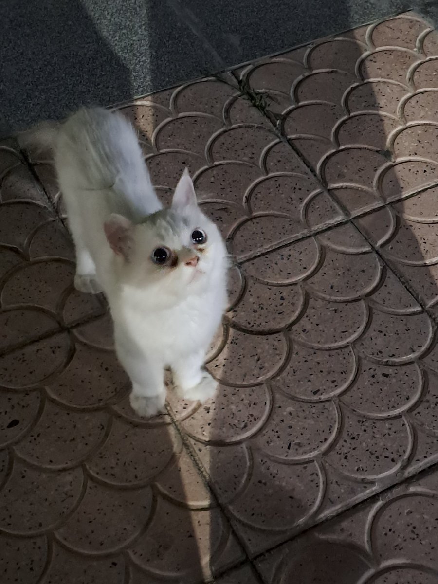 ازاي وسيمه كدا(انهيار اما شوفت رجليها قلبوظه وعسوله وعايزه اكلها  )