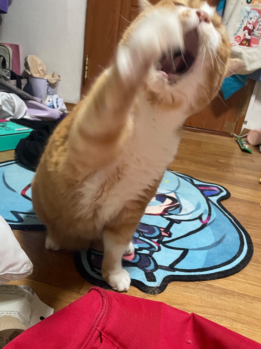 사냥못하는 애들 특 입부터벌림