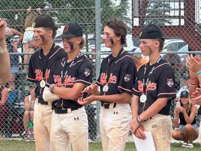 Baseball MB AAA League tweet media