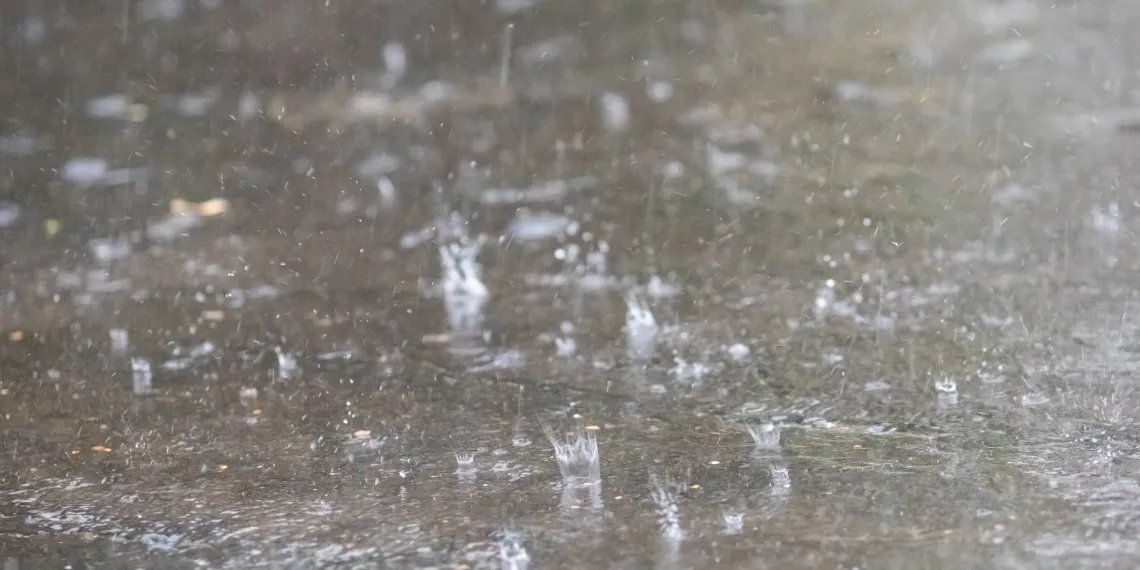 HajduPress's tweet image. Záporokkal és zivatarokkal érkezik a hidegfront

hajdupress.hu/cikk/zaporokka…

#időjárás #zivatarok #hidegfront #nyár