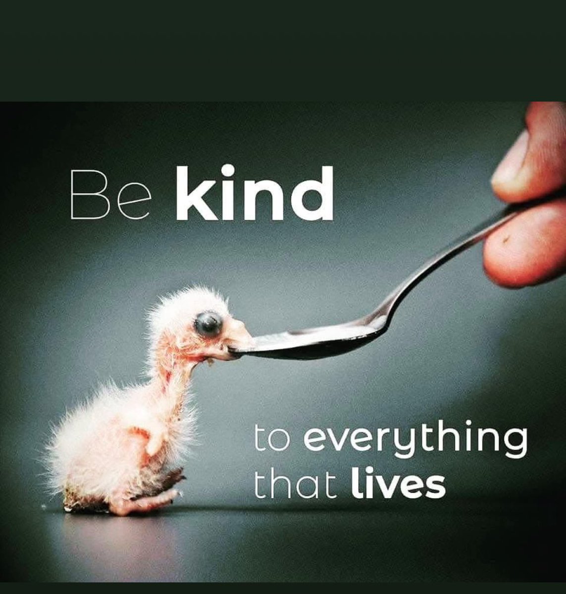 Be kind it cost nothing #bekind