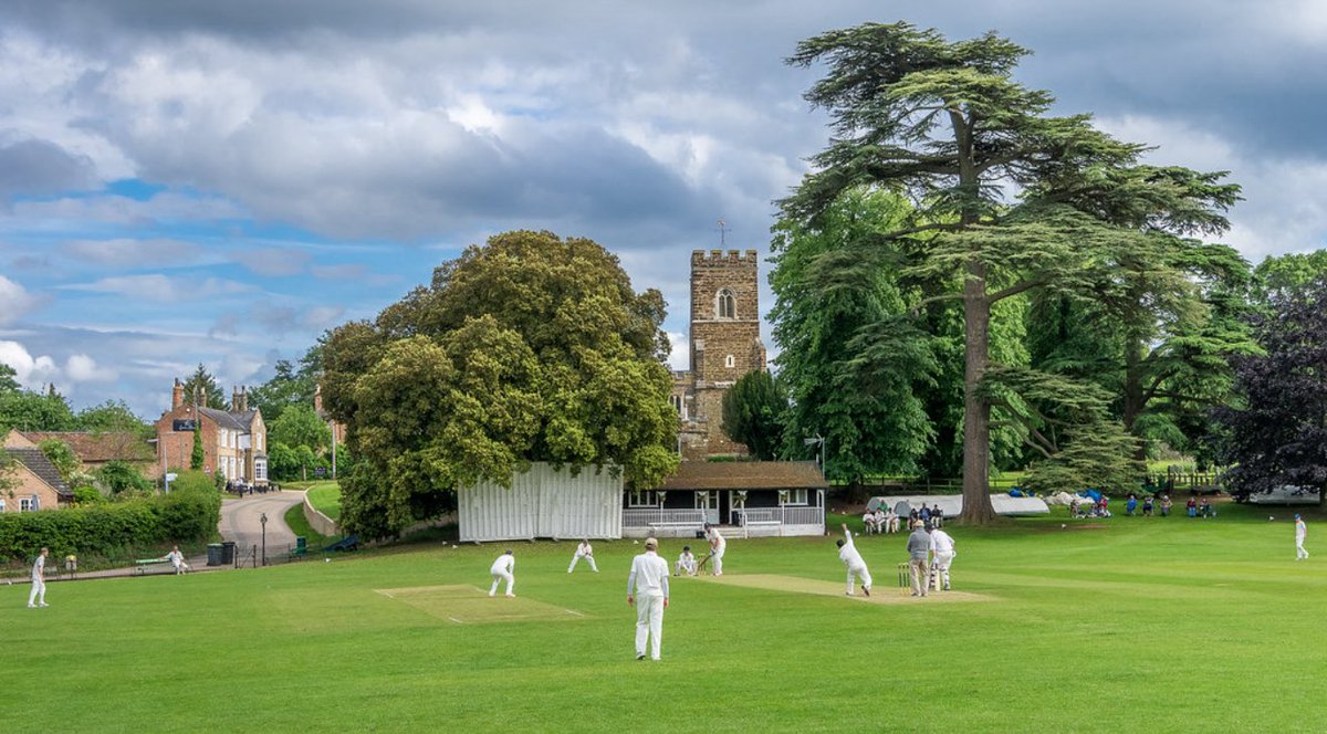 WG RumblePants tweet media