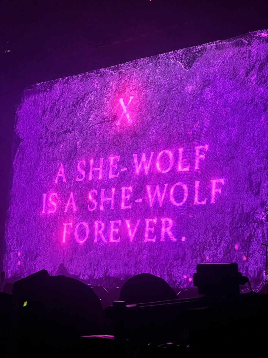 Thank you <a href="/shakira/">Shakira</a> for the best 2 nights of my life. I feel so healed. 🐺💕 #LMYNLWorldTourLA