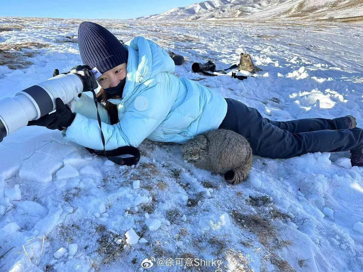 Manul morning. I remain incredibly unwell.