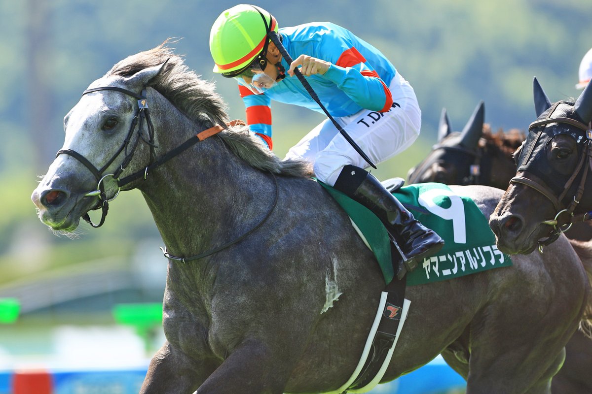 JRA　競馬　馬写真（額入り）　満花 JRA 競馬 馬写真（額入り） 満花