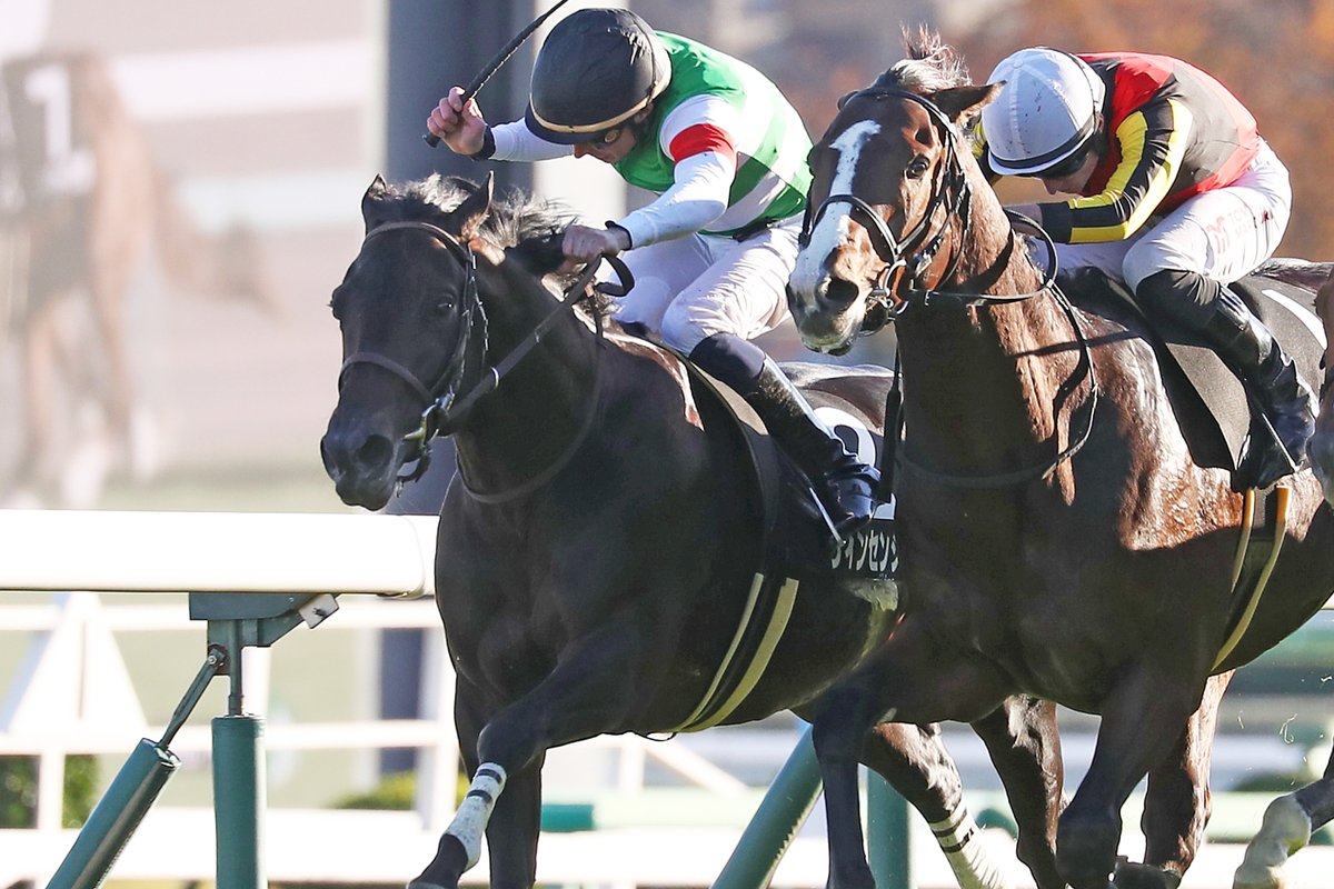 JRA　競馬　馬写真（額入り）　満花 JRA 競馬 馬写真（額入り） 満花