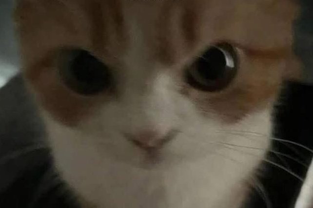 LisandraRodrg18's tweet image. Los hombres te dicen que se mueren de amor por ti hasta que les pides que les enseñes el celular