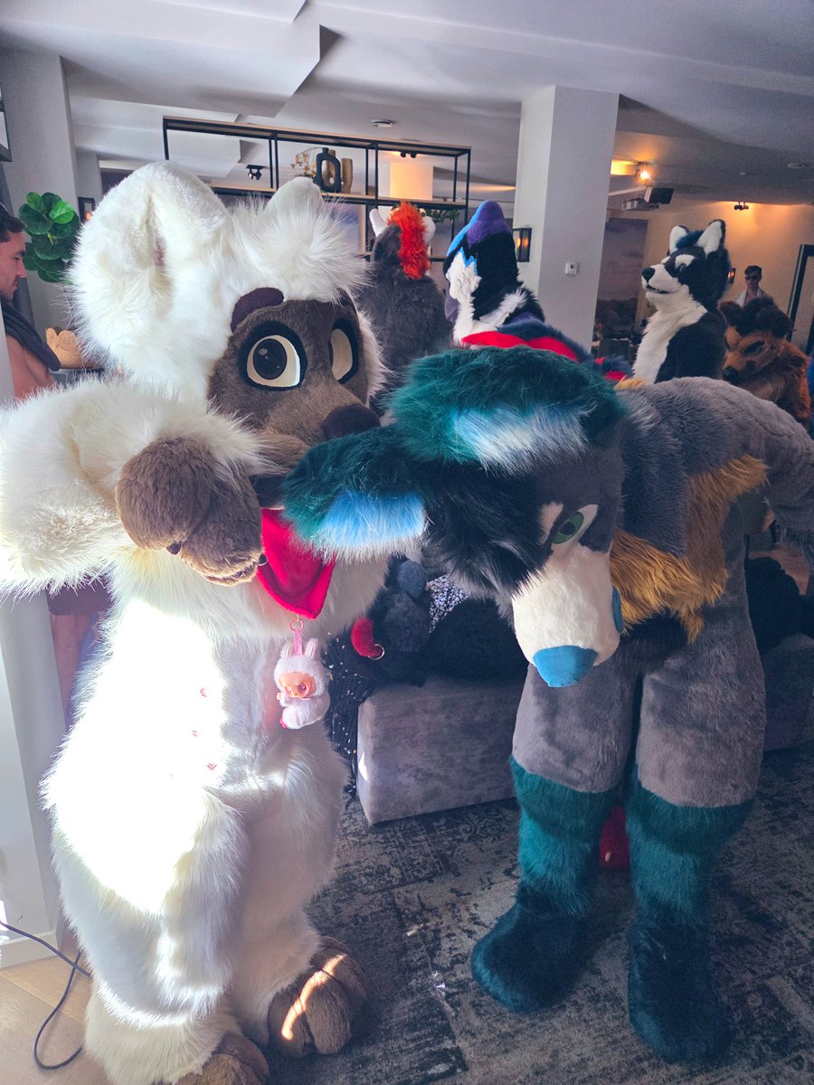 Wowie look at <a href="/CyonFR/">Cyon 🔜 NFC</a> ‘s ears! He be hearing