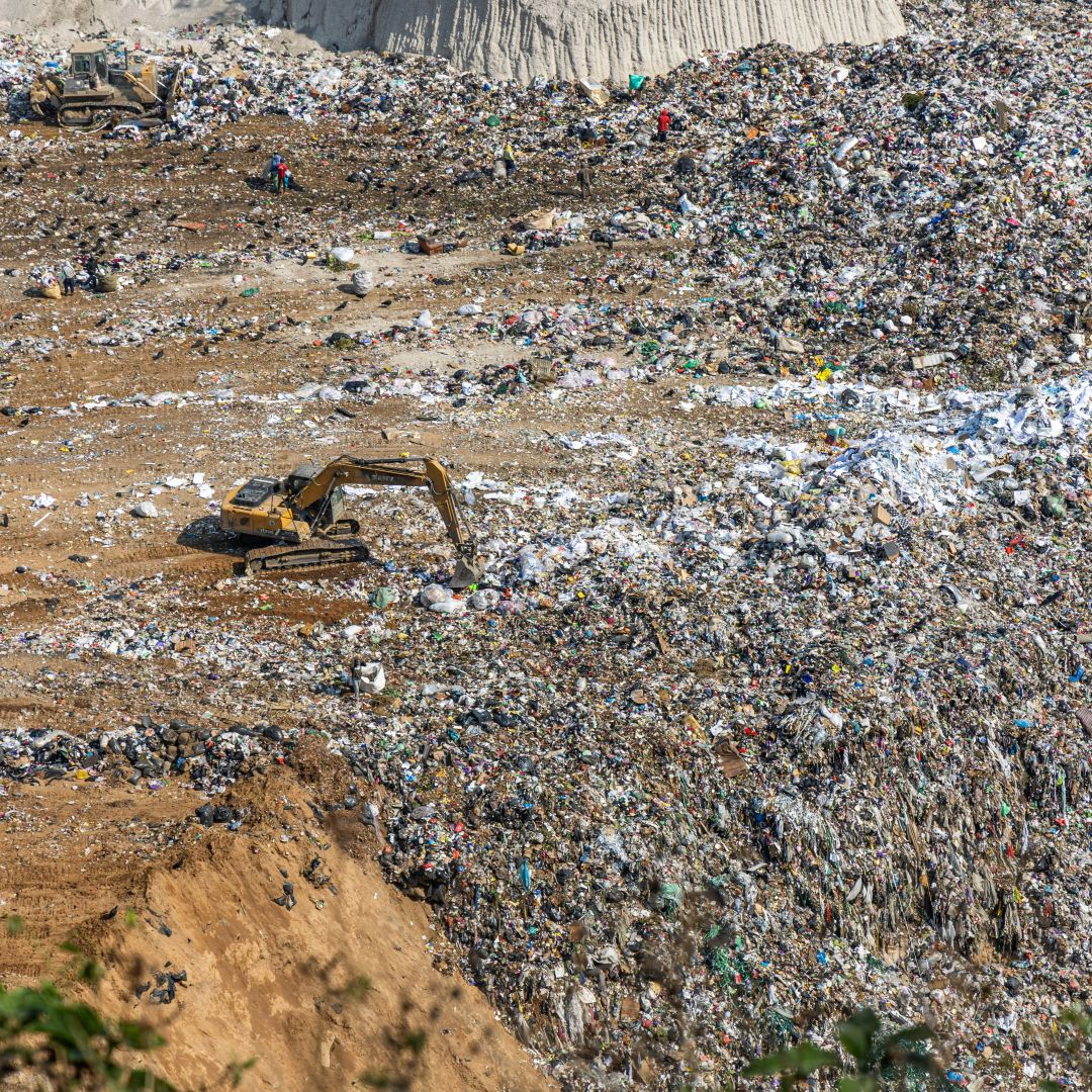 Even closed landfills can pollute groundwater for decades.

💊 A closed landfill in Poland still leaks pharmaceuticals with ibuprofen among the highest risks.

🔬 54 pollutants were found in the groundwater.

Explore other scientific papers ⬇️

environment.ec.europa.eu/research-and-i…

#SfEP