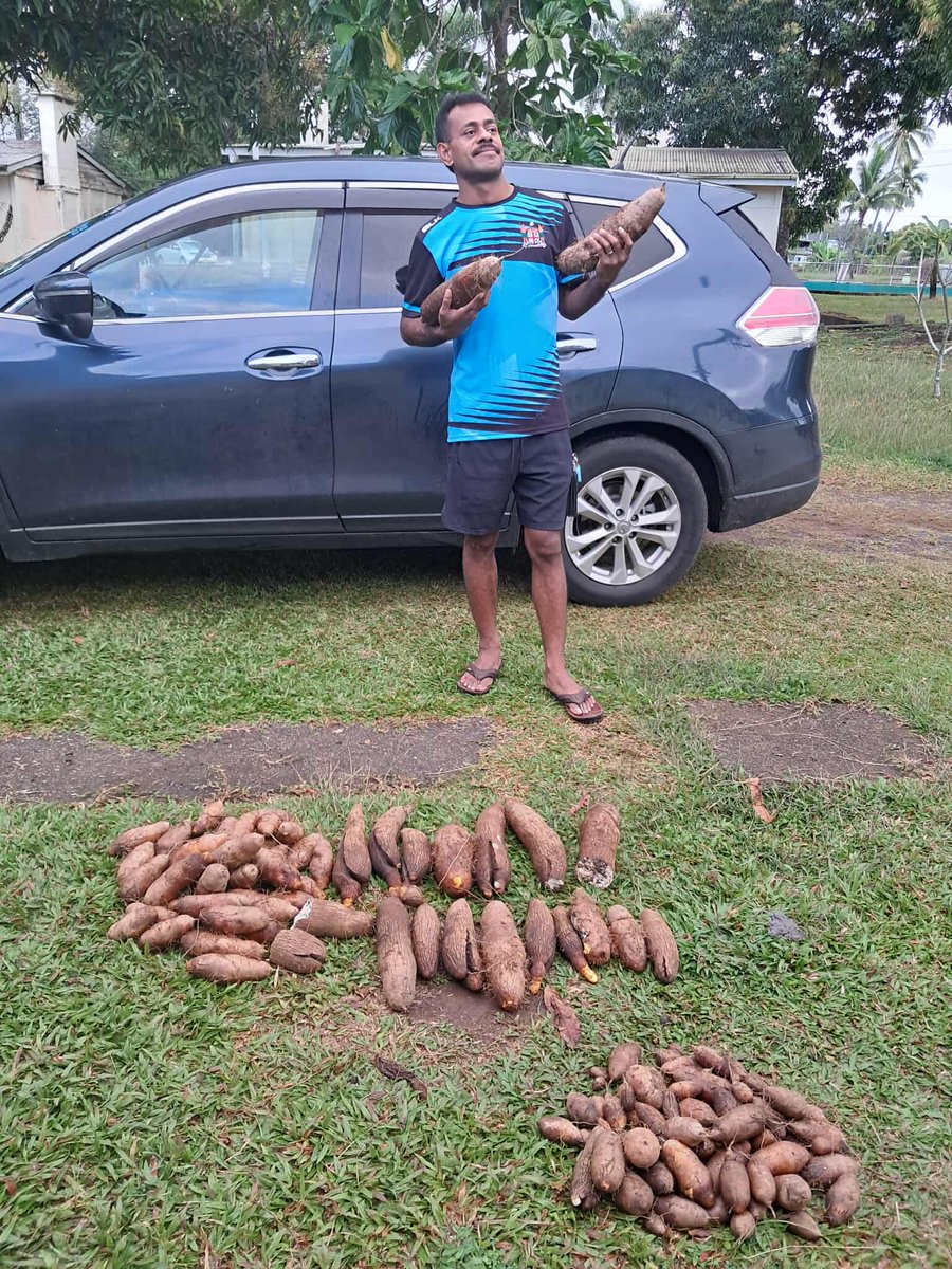 FRaibuse's tweet photo. Fruit of the Earth and work of human hands.
Harvest for Elisabeta's 5th birthday.
Vina'a valevu Jisu na vua ni qele. 
#FarmersByOrigin
#BreedingFarmers
#OrganicProduce https://t.co/PsPGryoeoP