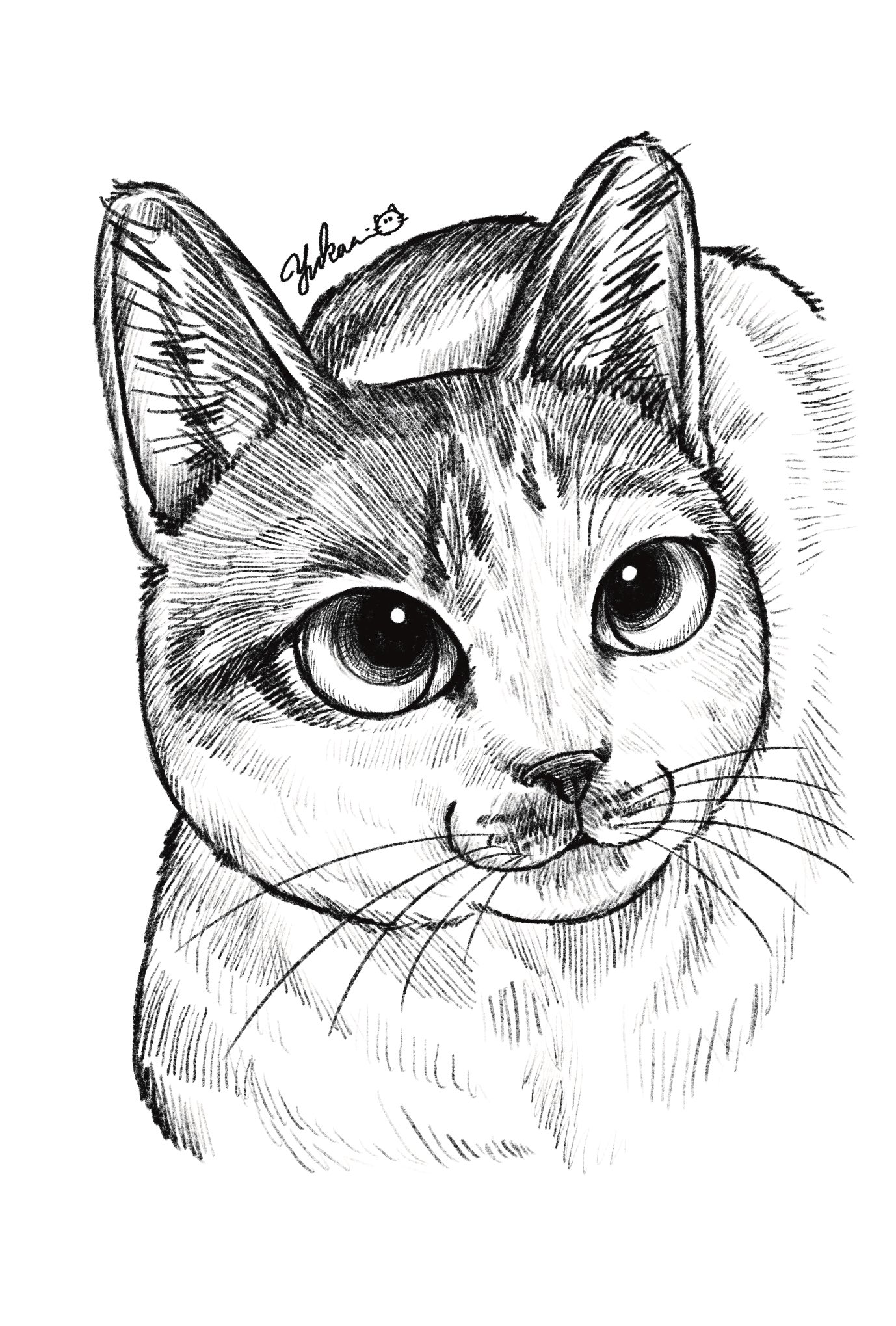 YUKARI 猫イラスト Yukari on X: