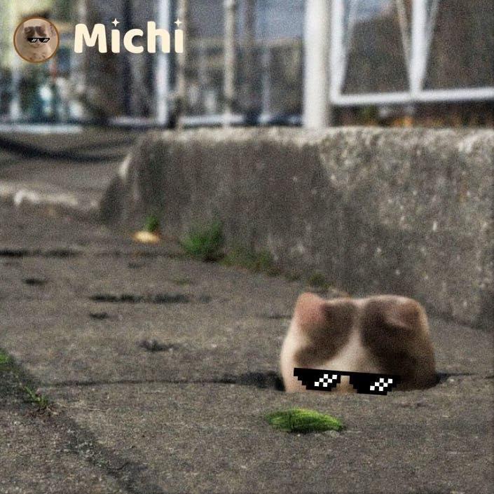 MICHI michi tweet media