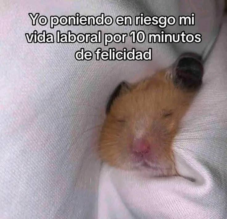 En Júpiter (@en_jupiter_) on Twitter photo 