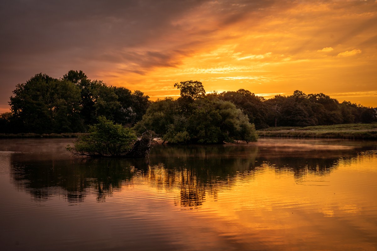 Good morning everyone! 😊

Here is a photograph of a dramatic sunrise, taken across the Pen Ponds in Richmond Park in July 2025. ❤️

#landscapephotography 
#sunrise
#richmondpark
<a href="/theroyalparks/">The Royal Parks</a>