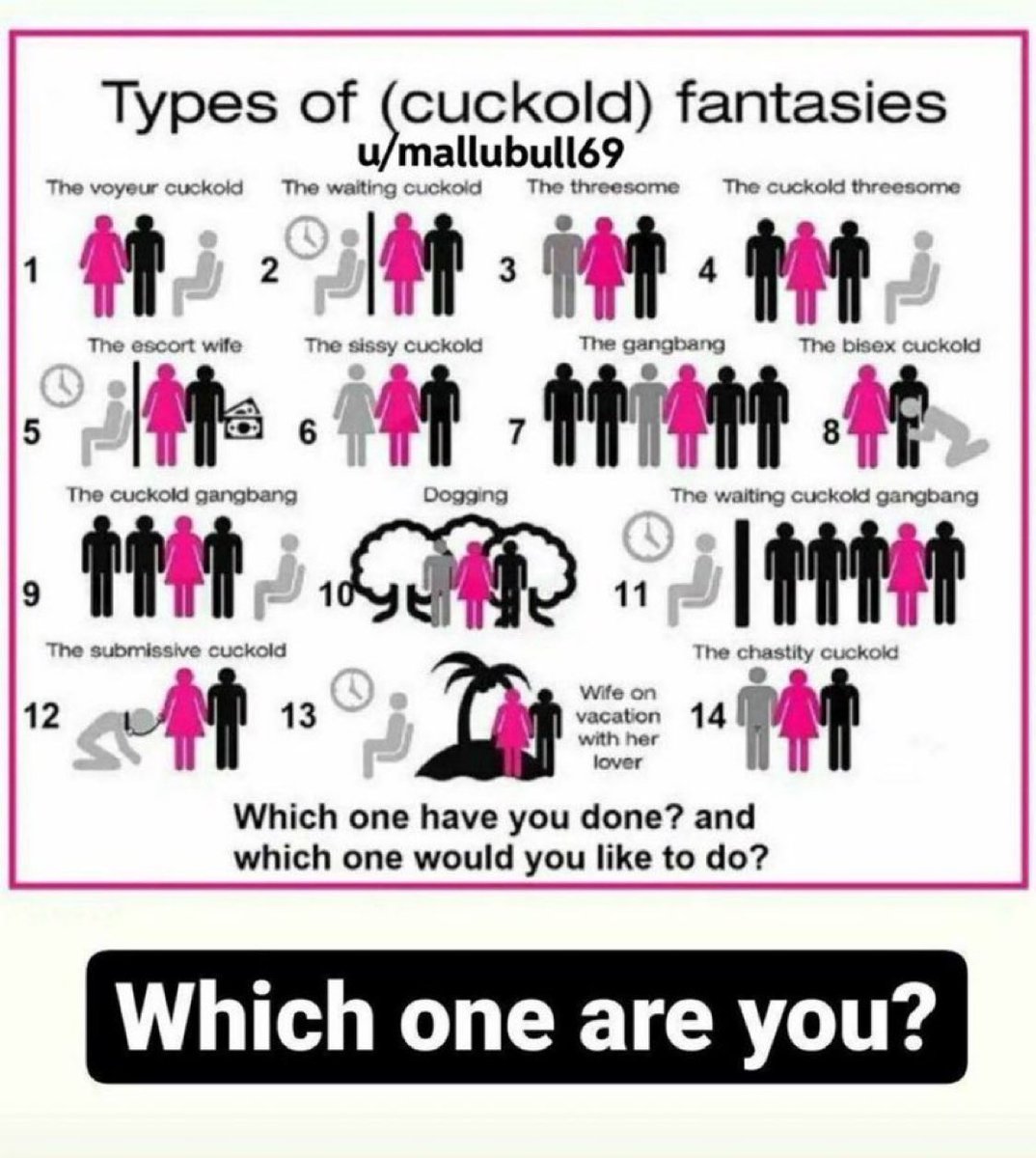 ALPHA BULL tweet media