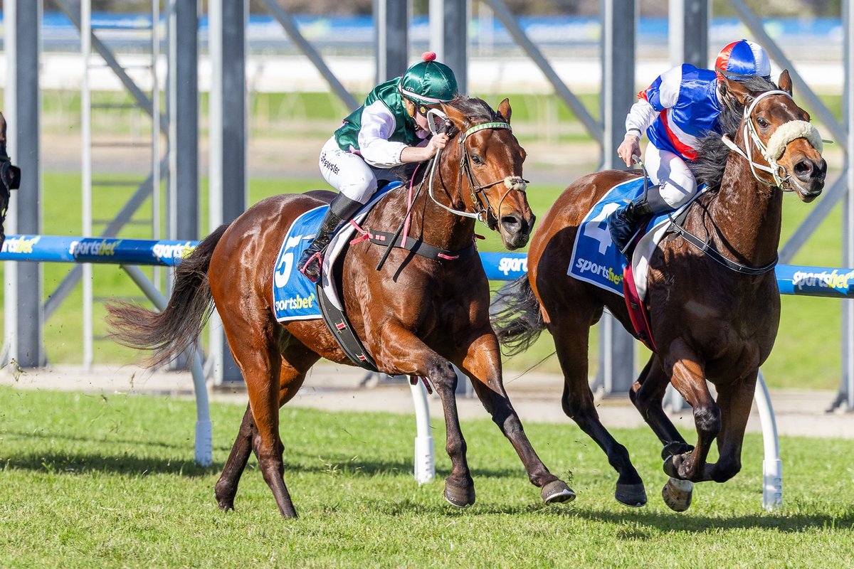 Tzaferis Racing tweet media