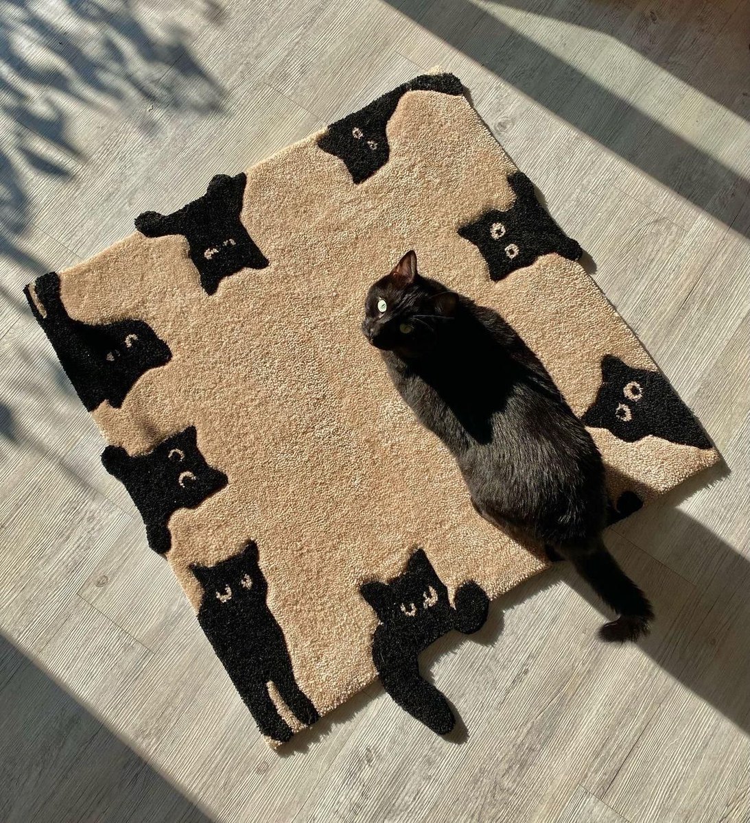 Black cats are not bad luck (@visualscat) on Twitter photo 