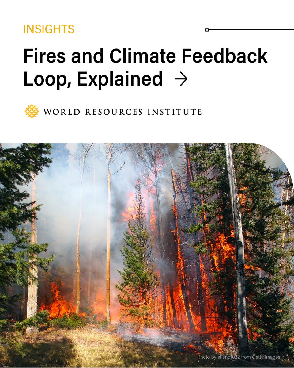 World Resources Institute tweet media