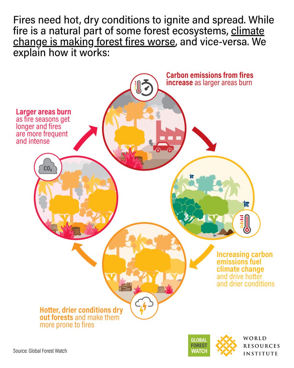 World Resources Institute tweet media