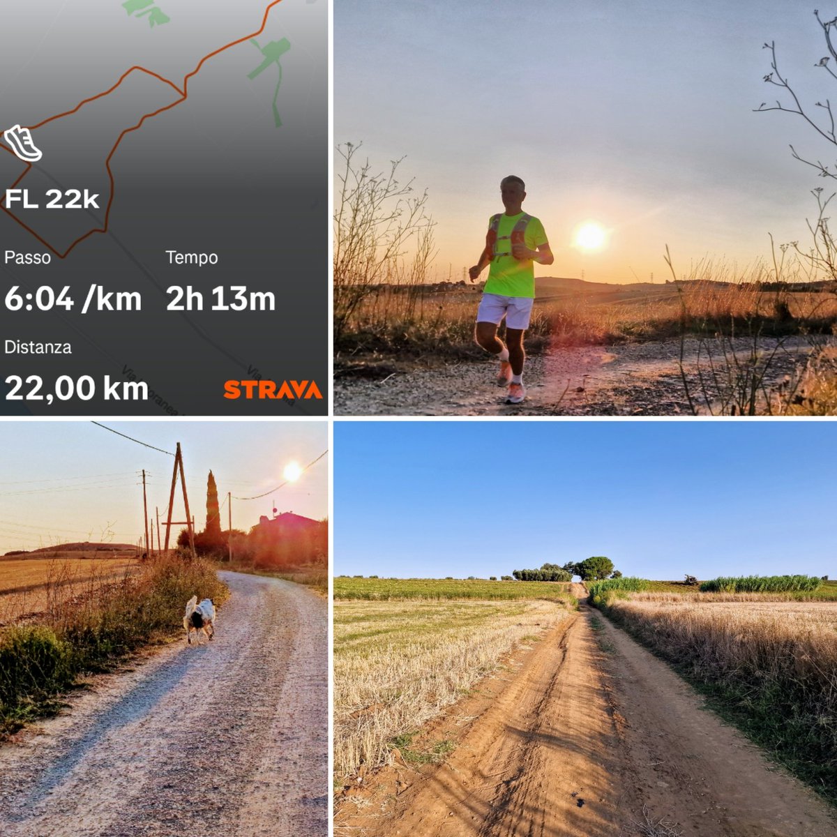 Il problema dei #runner quando si corre in campagna sono i cani liberi...
Stamattina all'alba scortato da Giove non ho avuto problemi, anche in mezzo ai campi di pomodori 
Buona giornata #runlovers