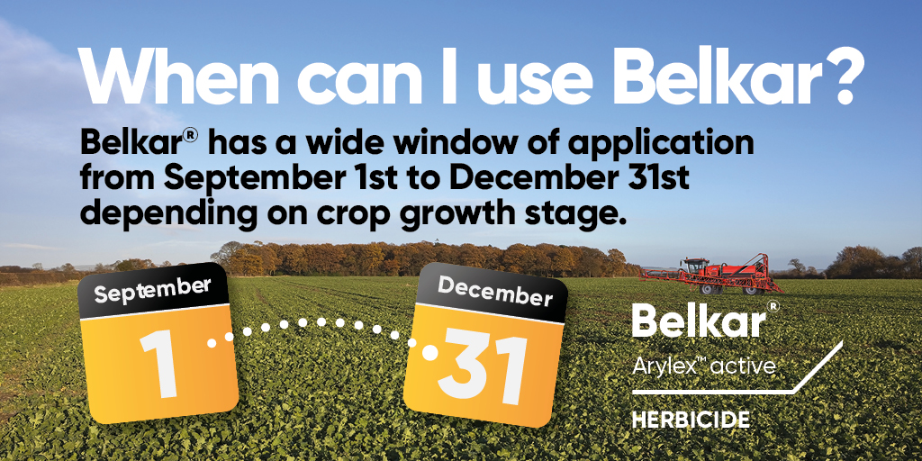 From 1 Sep. you can apply #Belkar® to your WOSR.
💸 Don’t spend on herbicides before you know how well the crop is going to emerge.
🥇 Belkar offers outstanding control of key weeds incl. cleavers, poppy, shepherd's purse + fumitory🔗 corteva.ie/belkar
<a href="/TPWCrop/">Whelehan Crop Protection</a> <a href="/LizGlynn10/">Liz Glynn</a>