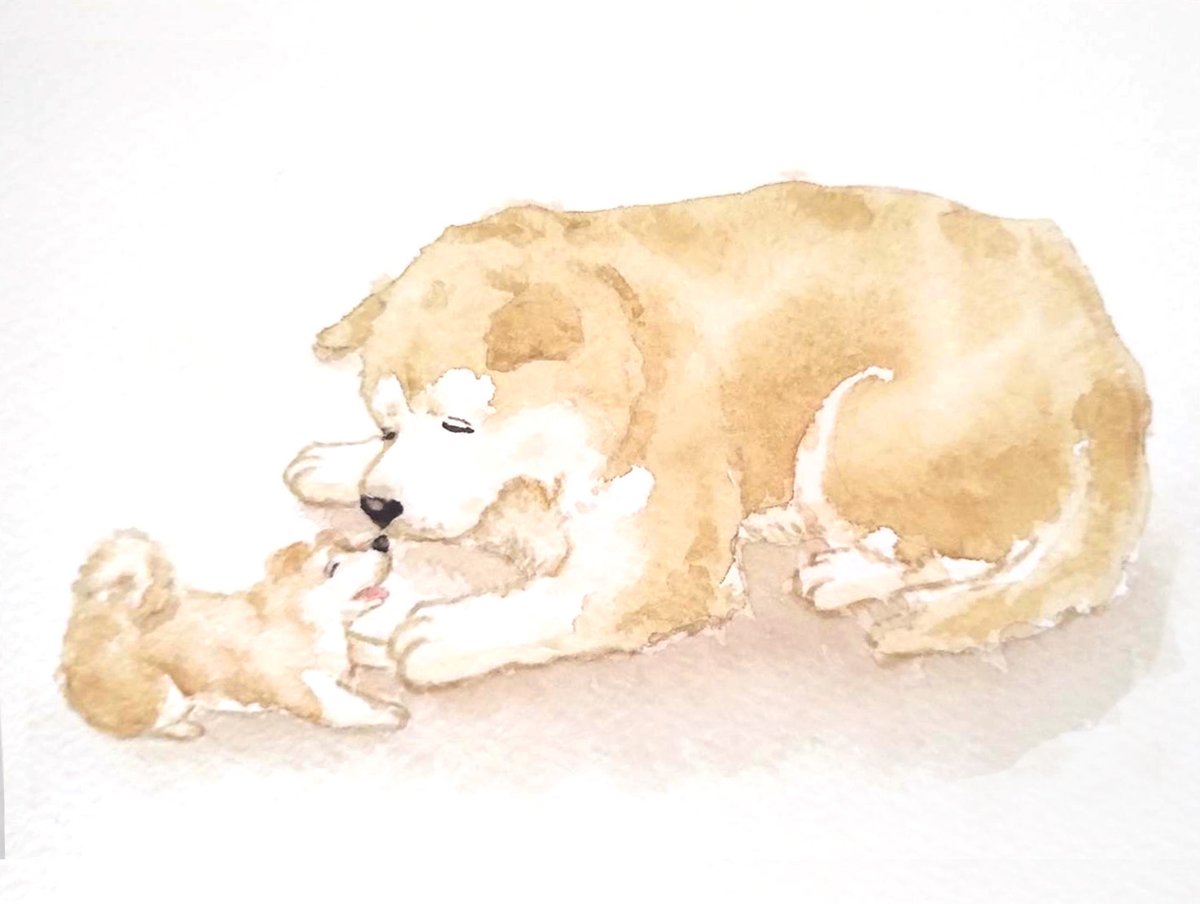 Yamamoto_Bowwow's tweet photo. 『わたしの愛しい子』

#水彩画 #秋田犬 #犬がいる幸せ https://t.co/C4Mj6wuANo