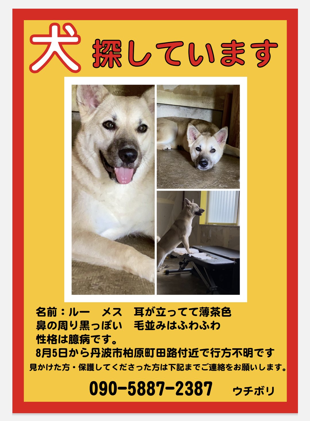 ￼まめだいふく様へ 🫘 ( ܸܸ˭̴̵̶́ꄱ˭ )ᐝﾌｧｧ