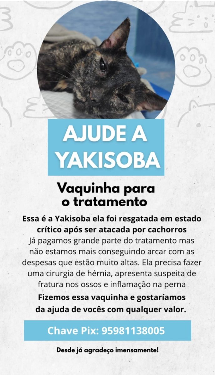 sz_rikoo's tweet photo. ‼️‼️‼️‼️‼️
a gatinha de um amigo de um amigo precisa de ajuda, quem puder ajudar com divulgação ou algum valor simbólico, ajudaria imenso!! https://t.co/kBjJJHfvKJ